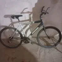 دوچرغه شماره ۲۶