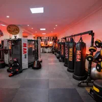 آموزش رزمی MMA دفاع شخصی با استاد جهانی