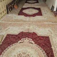 فرش|فرش|اهواز, اهواز|دیوار