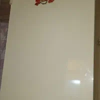 یخچال و فریزر