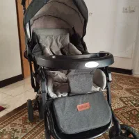 کالسکه بچگانه دلیجان