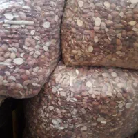 لوبیا چیتی شکسته|خوردنی و آشامیدنی|قم, انسجام|دیوار