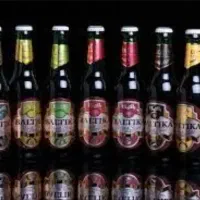 ویزیتور و بازاریاب