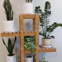 استندگل در رنگ بندیهای متنوع