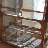 یک عدد قفس هم برای مرغ هم برای کبوتر