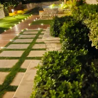 اجاره یا شراکت با برند کلینیک و پت شاپ