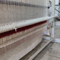 دار قالی|ابزارآلات|فسا, |دیوار