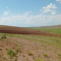 زمین کشاورزی دیم ۱۲ تغار سند دار(۱۲کیسه)|فروش دفتر صنعتی، کشاورزی، تجاری|دیواندره, |دیوار