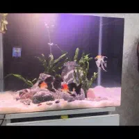 آکواریوم کاملا سالم در حد نو 600 تومن