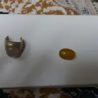 نگین شرف شمس