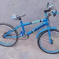 دو عدد دوچرخه شماره ۲۰|دوچرخه، اسکیت، اسکوتر|بوشهر, |دیوار