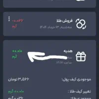 170هزار تومان در اکسسوری گلدیکا همین الان فعال شد