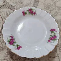 فروش ظروف گل سرخ دستی فقط 500 تومن