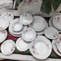 سرویس کمیاب و زیبای گل میخک