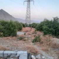 فروش باغ تلخاب|فروش دفتر صنعتی، کشاورزی، تجاری|دوگنبدان, |دیوار