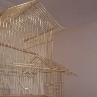 قفس طلایی|لوازم جانبی حیوانات|تهران, صادقیه|دیوار