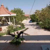 نیستان کوی مرواید