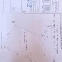 فروش ۶۰۰۰ متر زمین باغ باباریز مناسب باغ و گلخانه|فروش زمین و ملک کلنگی|سنندج, |دیوار