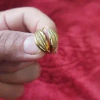 گوشواره صدفی درحد نو