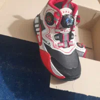 کفش|کیف، کفش، کمربند|ابهر, |دیوار