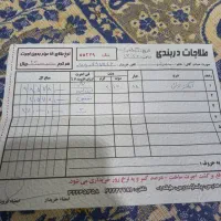 طلا گردنبند گوشواره  انگشتر|جواهرات|مشهد, کوی ولیعصر|دیوار