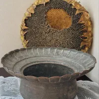 لگن مسی
