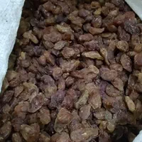 کشمش‌ ومویز|خوردنی و آشامیدنی|کاشان, بازار کاشان|دیوار
