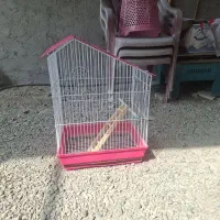 قفس پرنده سالم