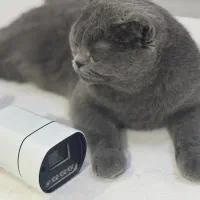 دوربین تو( ۸ماهه )نصب کن