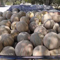 تخمه طالبی