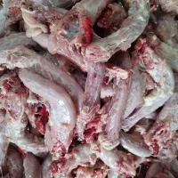 گردن پاک شده بدون پوست وچربی