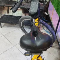 دوچرخه ویوا تنه ۲۹|دوچرخه، اسکیت، اسکوتر|بجستان, |دیوار