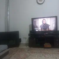 همخونه-خانم