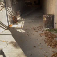 ده ونک گاراژ ۱۰۰متر با امکانات موقعیت خوب