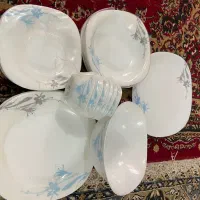 سرویس آکروپال ۶نفره  کاملا نو  قیمت ۲/۶۰۰