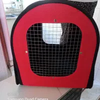 کوله نومخصوص حیوانات