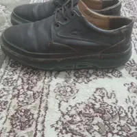 کفش کلارک
