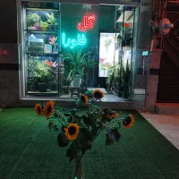 باکس گل طبیعی نازلترین قیمت|گل و گیاه طبیعی|آباده, |دیوار