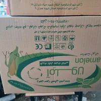 500 عدد کارتن 5 لا بزرگ و 700 عدد کارتن 5 لا متوسط