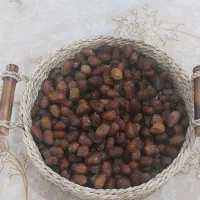 فروش همه نوع خرما