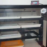 دستگاه جوجه کشی اسکندری|لوازم جانبی حیوانات|کردکوی, |دیوار