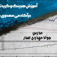 آموزش حرفه ای بازارهای مالی تضمینی