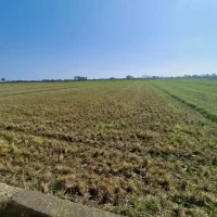 قطعه زمین املاک لوندویل