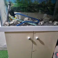 فروش آکواریوم