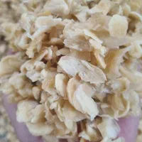 اسلایس سیر