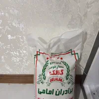 برنج عنبر بو برادران امامی