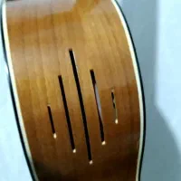 گیتار حرفه ای صفحه چوب اسپیروس|گیتار، بیس، امپلیفایر|تالش, هشتپر|دیوار