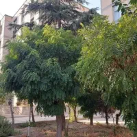 آپارتمان ۷۳ متری ۱خواب فاز ۲اندیشه بلوار اصلی