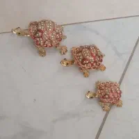 لاکپشت برنجی