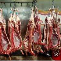 استخدام کارگر